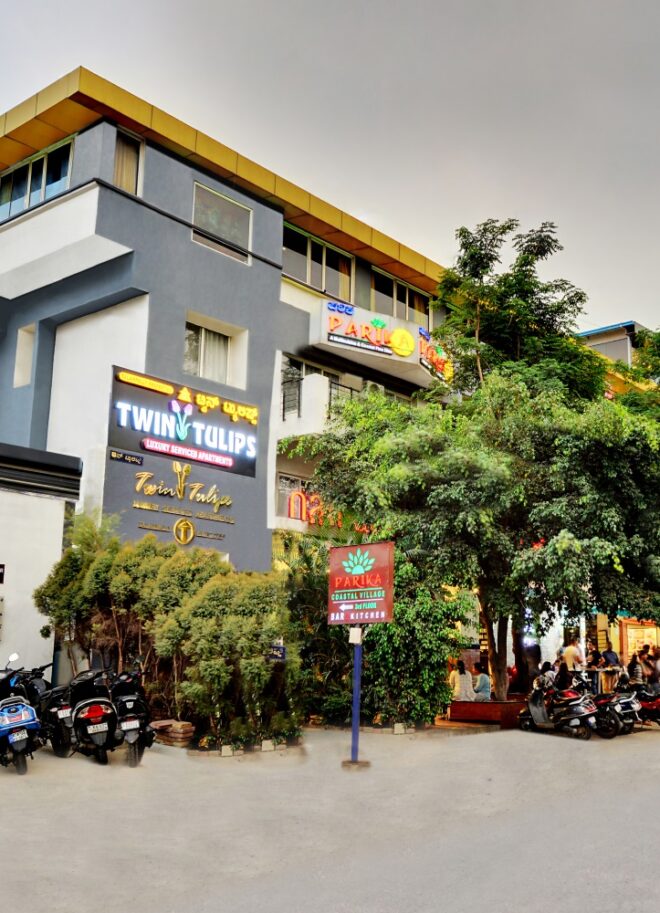 Twin Tulip Mystic Premier